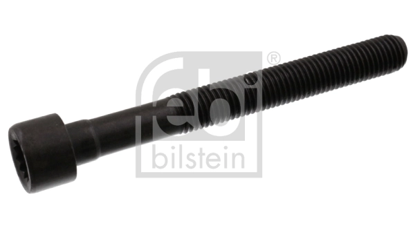 Cylinder Head Bolt